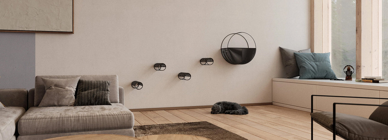 מיטות מעוצבות לחתולים קערות וארגז חול לחתולים בעיצובים מרשימים