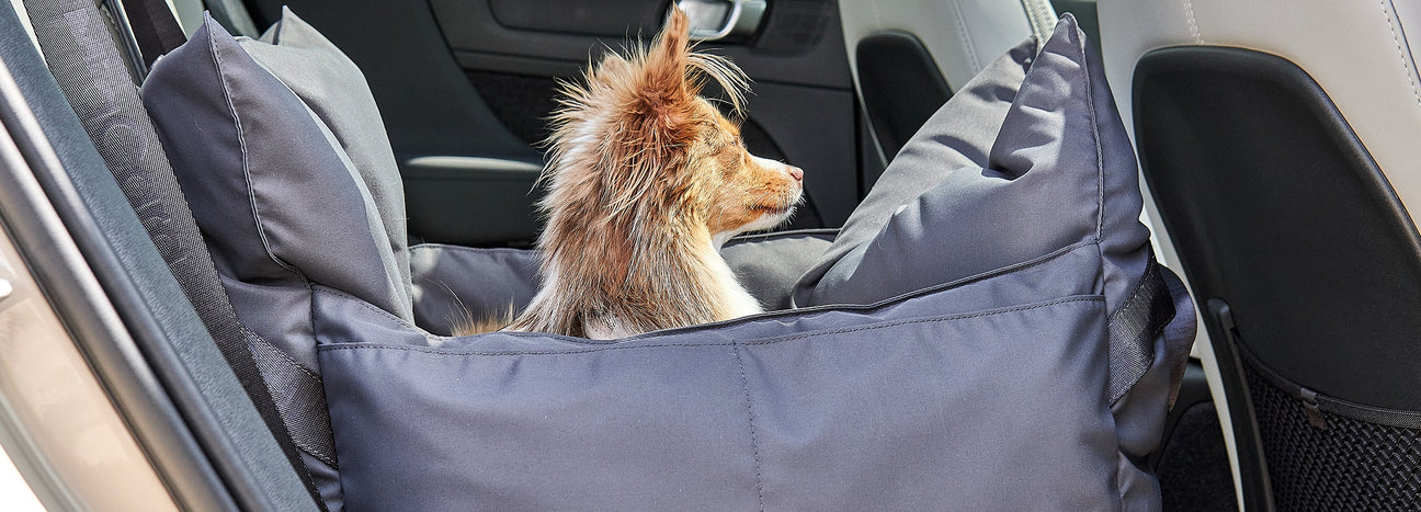 מושב לרכב לכלב, אביזרים לנסיעה ברכב עם כלבים