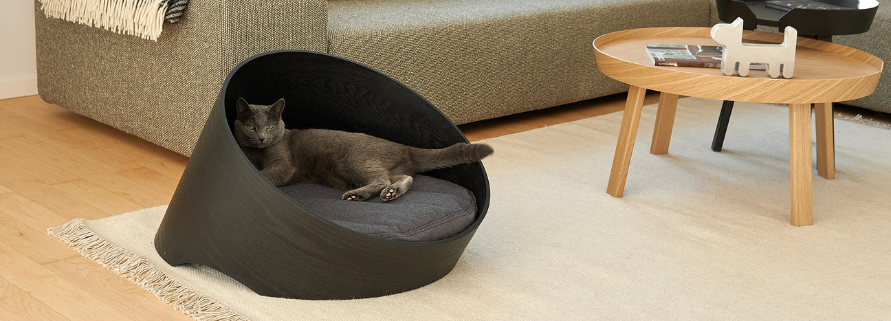 מיטות לחתולים, שמיכות לחתולים