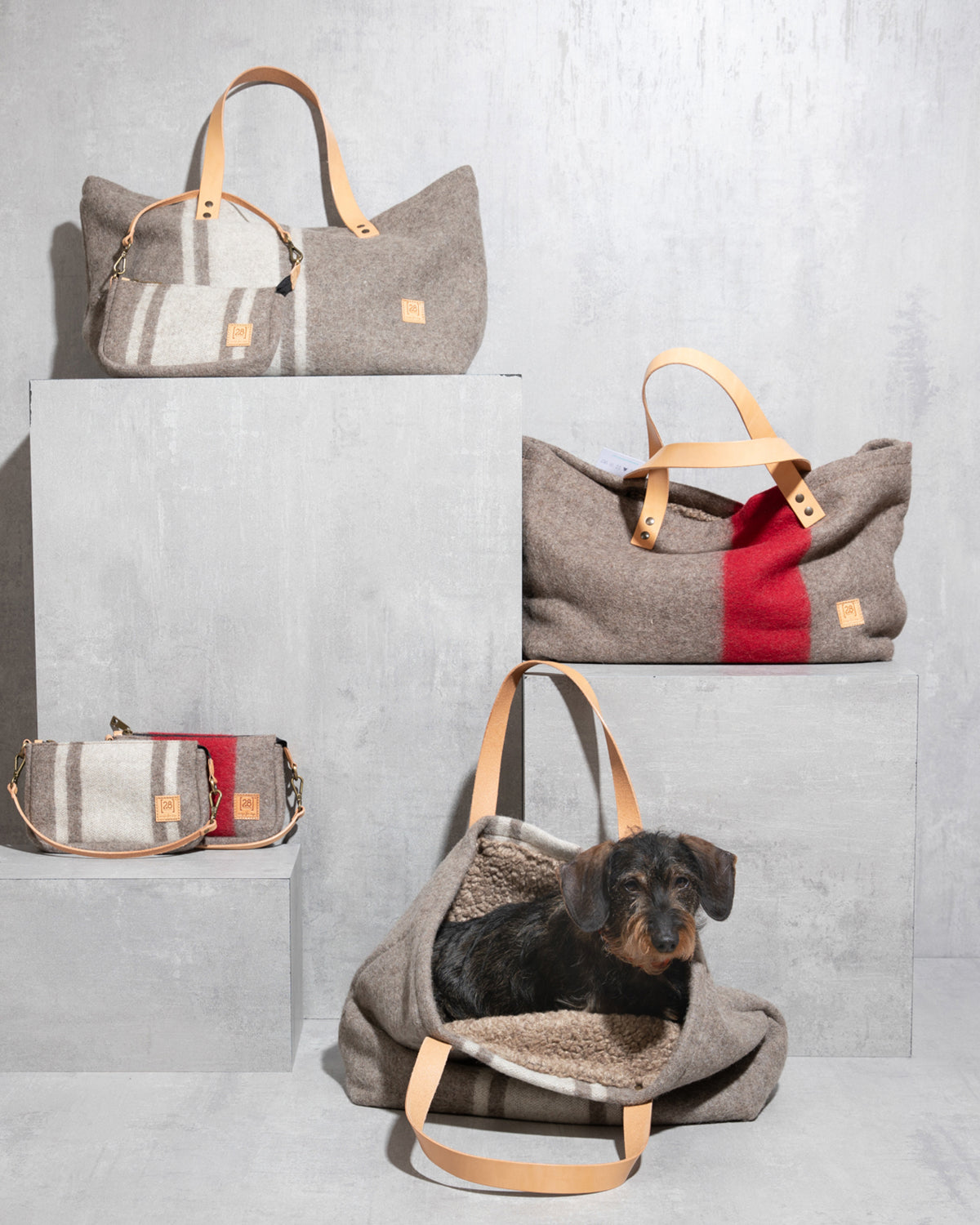 תיק נשיאה לכלב