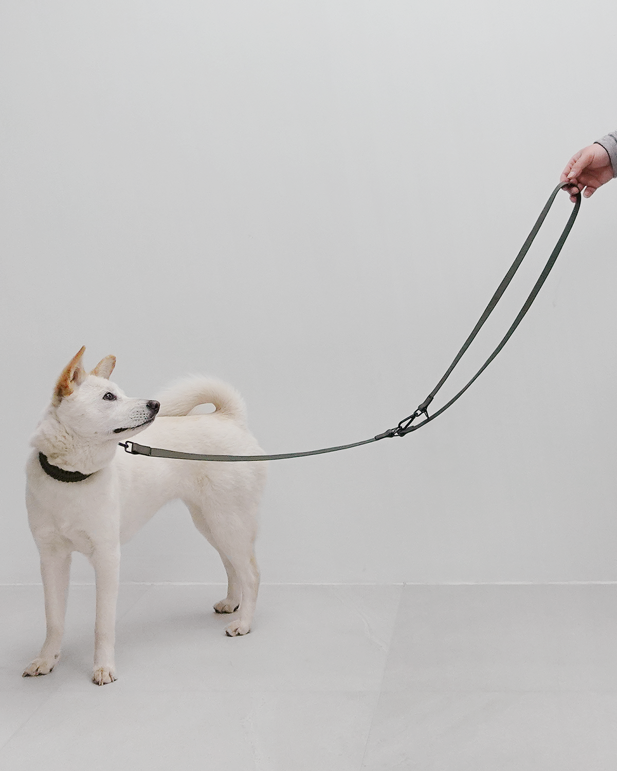 MELLEM X LEASH | רצועה לכלב