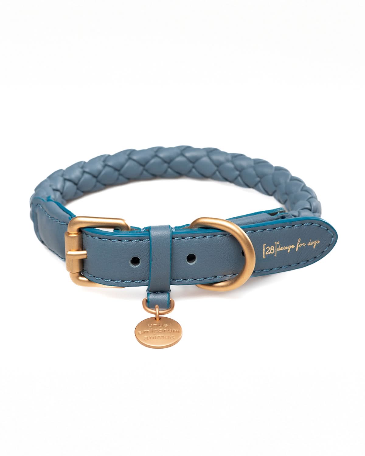 קולר עור לכלבים