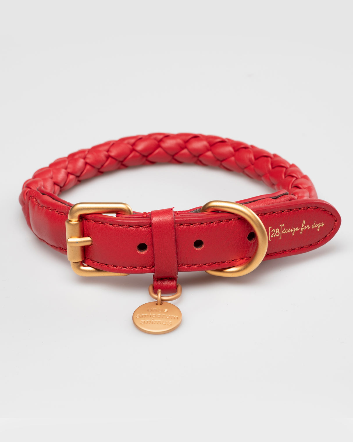 קולר לכלב, קולר עור לכלבים