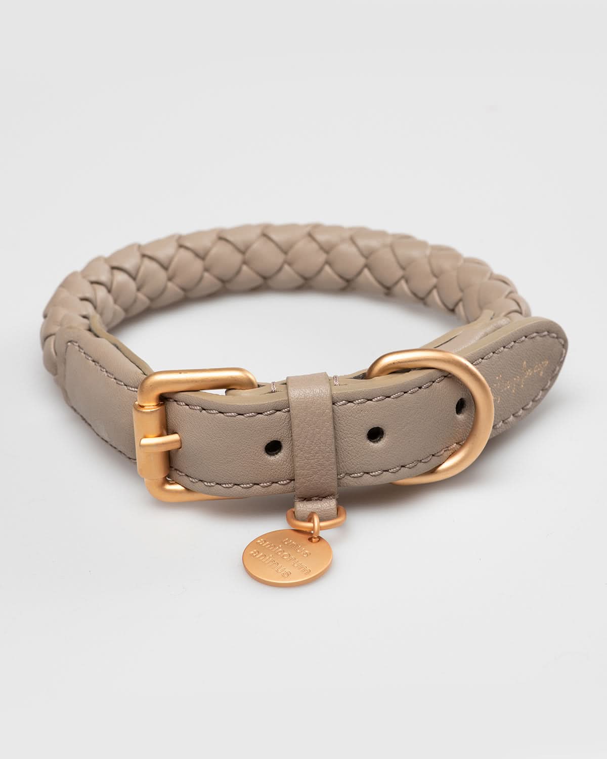 קולר עור לכלבים