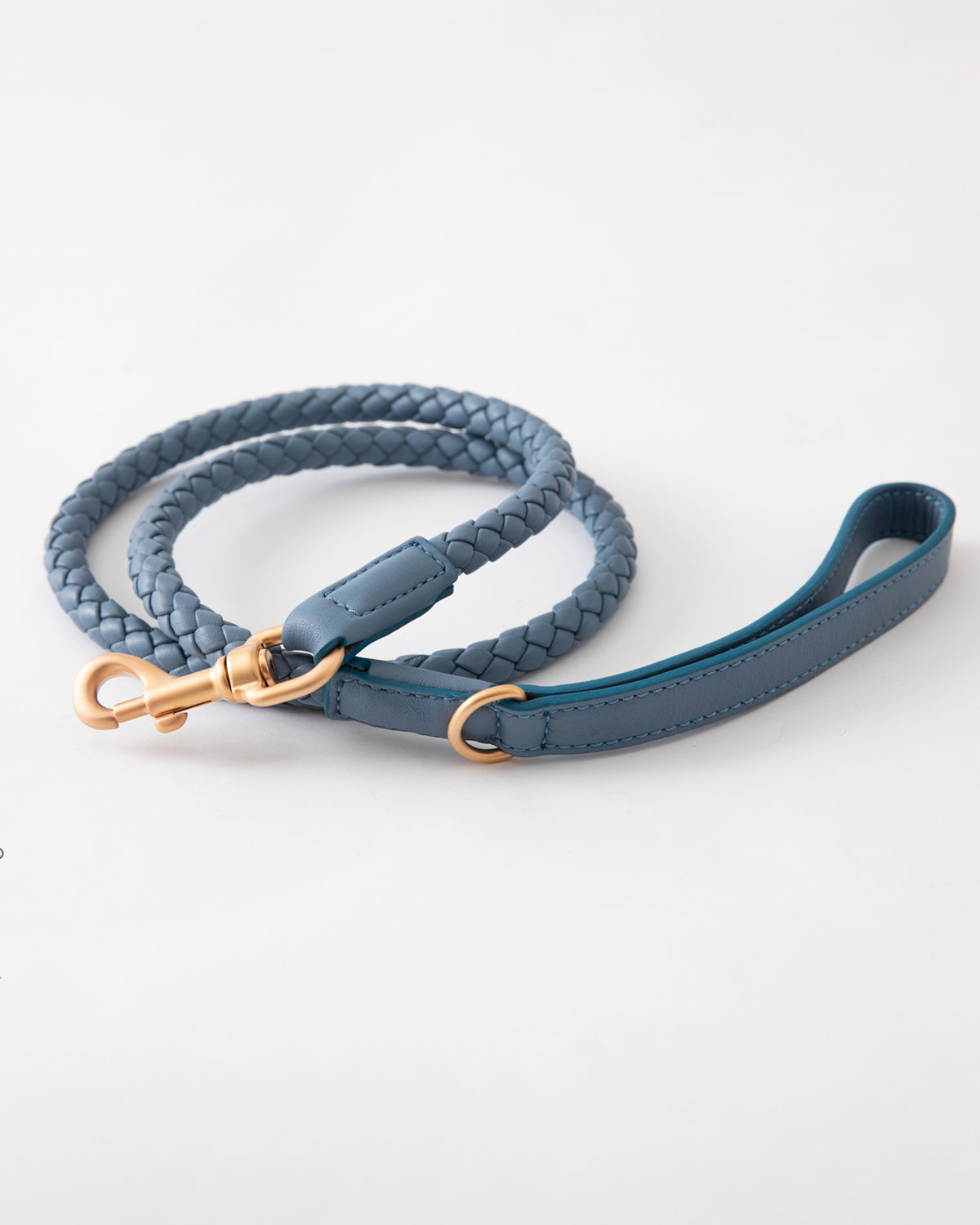 רצועת עור לכלב