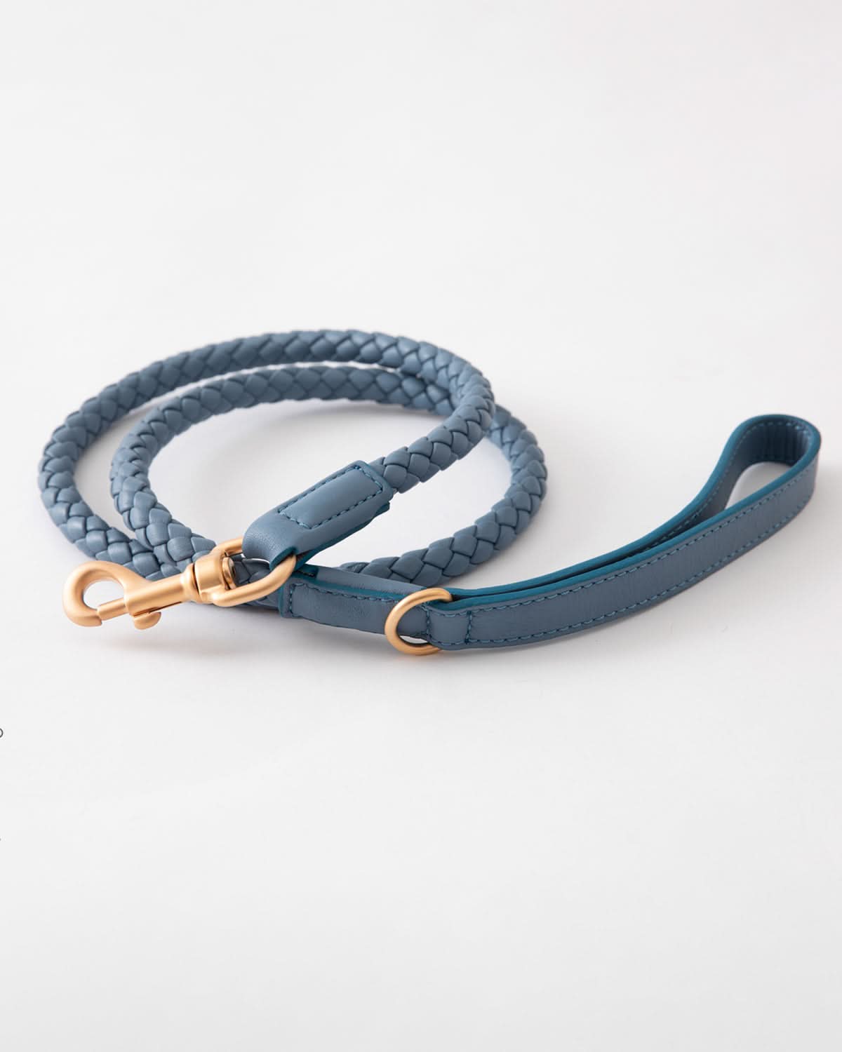 רצועת עור לכלב