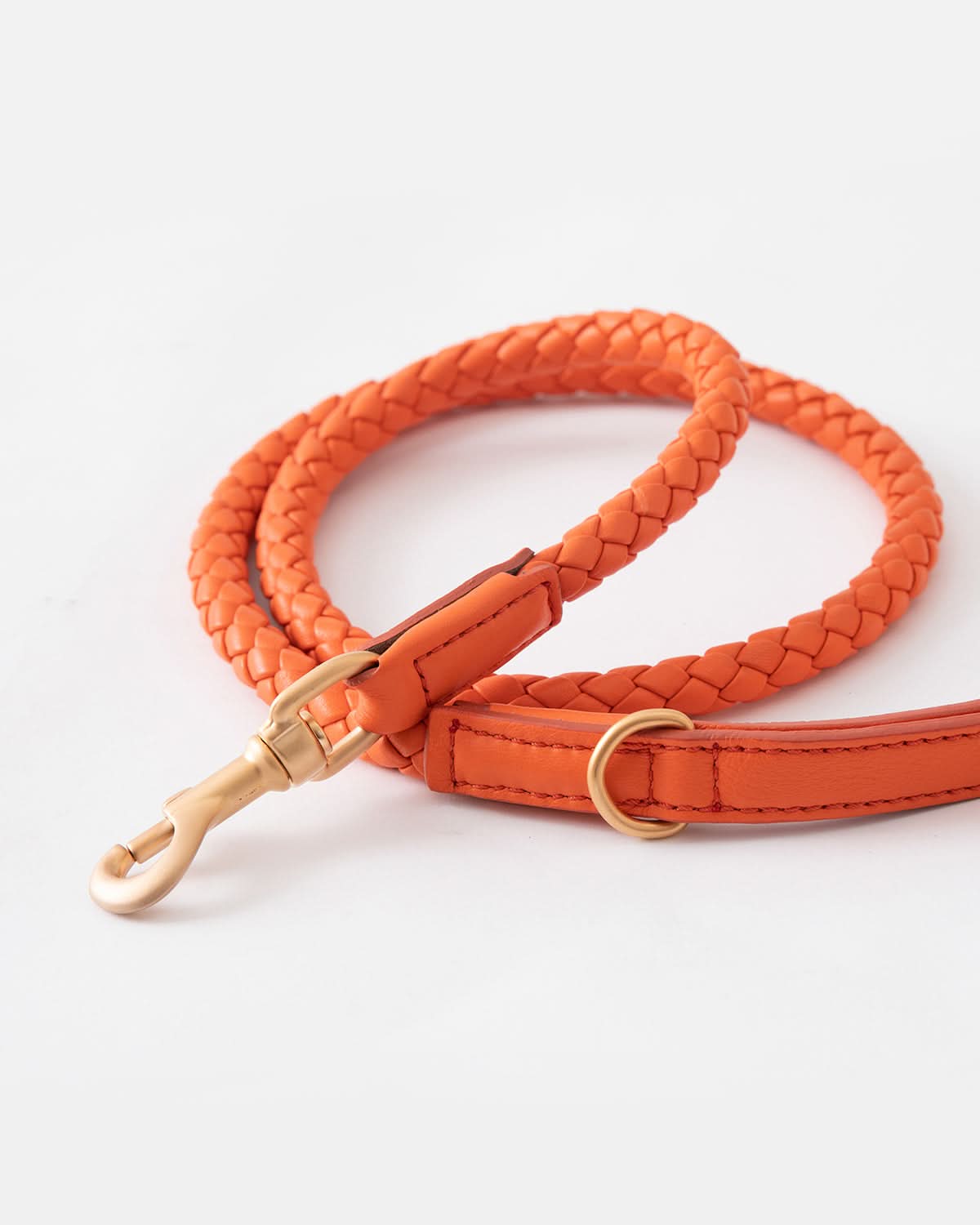 רצועת עור לכלב