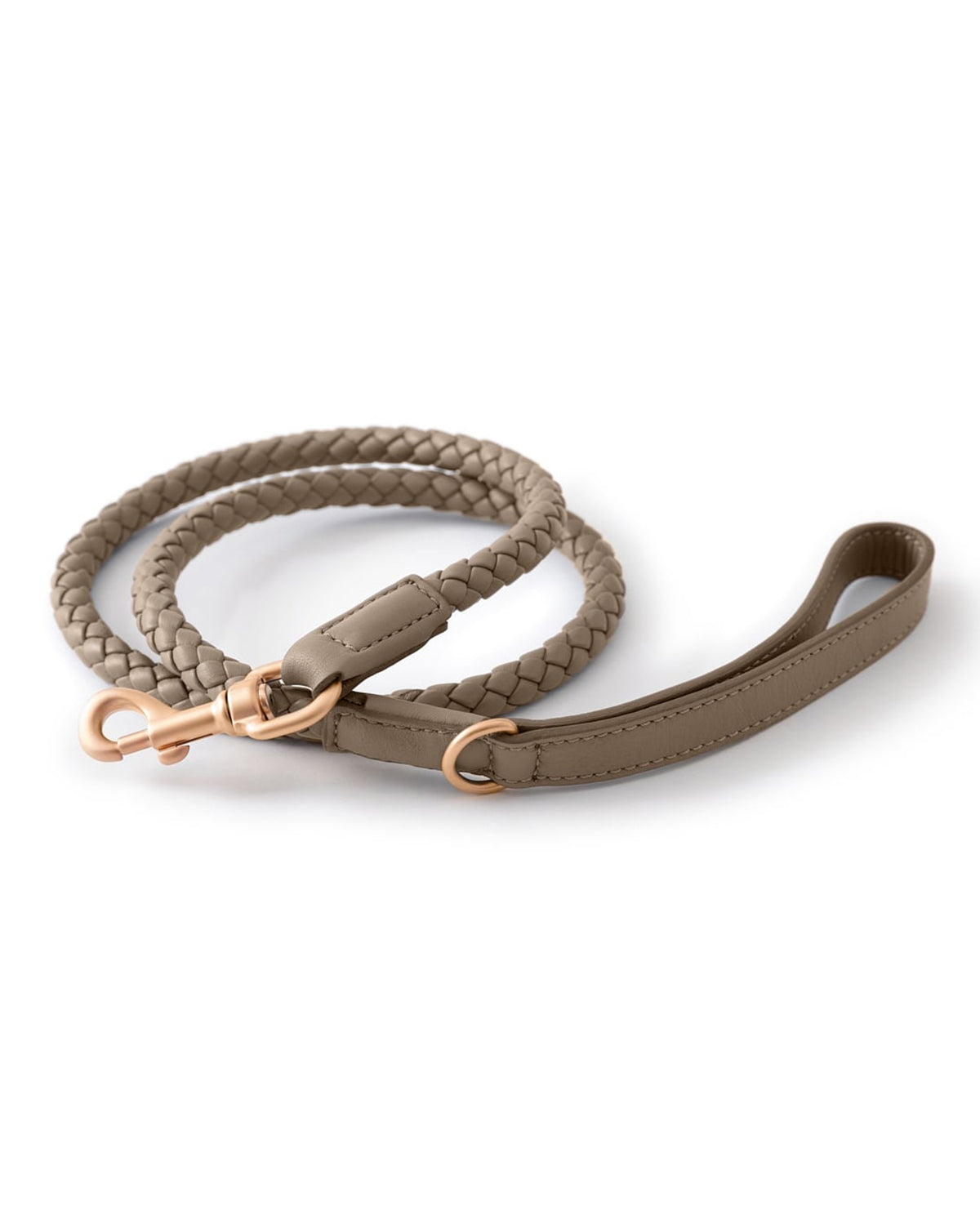 רצועת עור לכלב