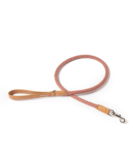 רצועת עור טבעוני לכלב