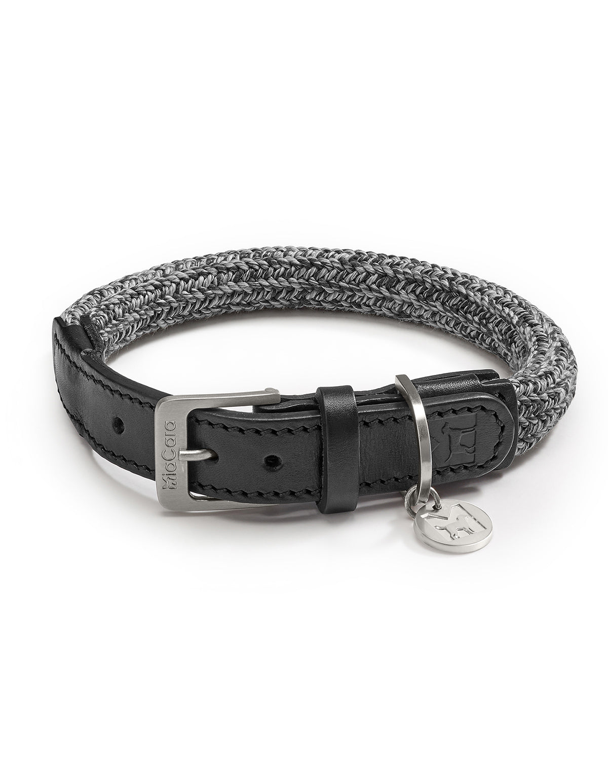 קולרים לכלבים