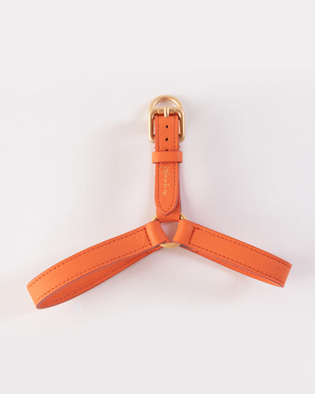 MARIO LEATHER HARNESS | רתמת עור לכלב