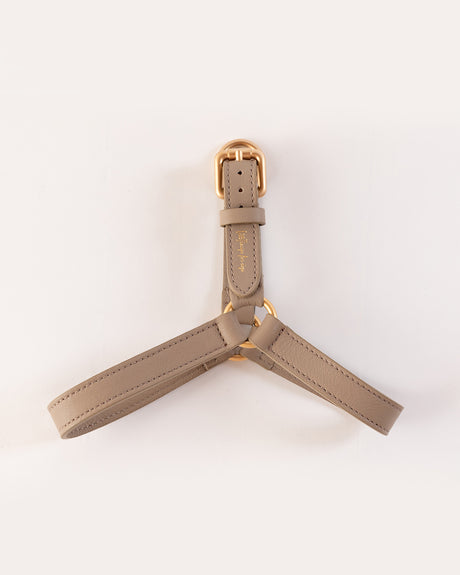MARIO LEATHER HARNESS | רתמת עור לכלב