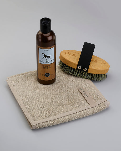 SHORT HAIR DOG CARE BUNDLE | באנדל טיפוח לפרווה קצרה