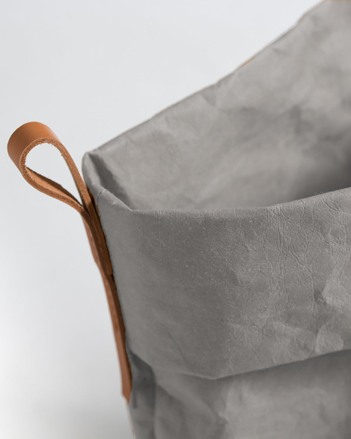 אחסון מזון לכלבים