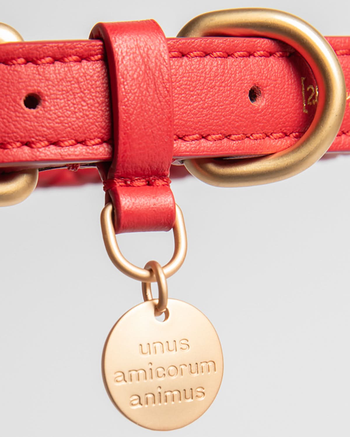 קולר קלוע לכלב מעור נאפה איטלקי | FERDINANDO NAPPA LEATHER COLLAR