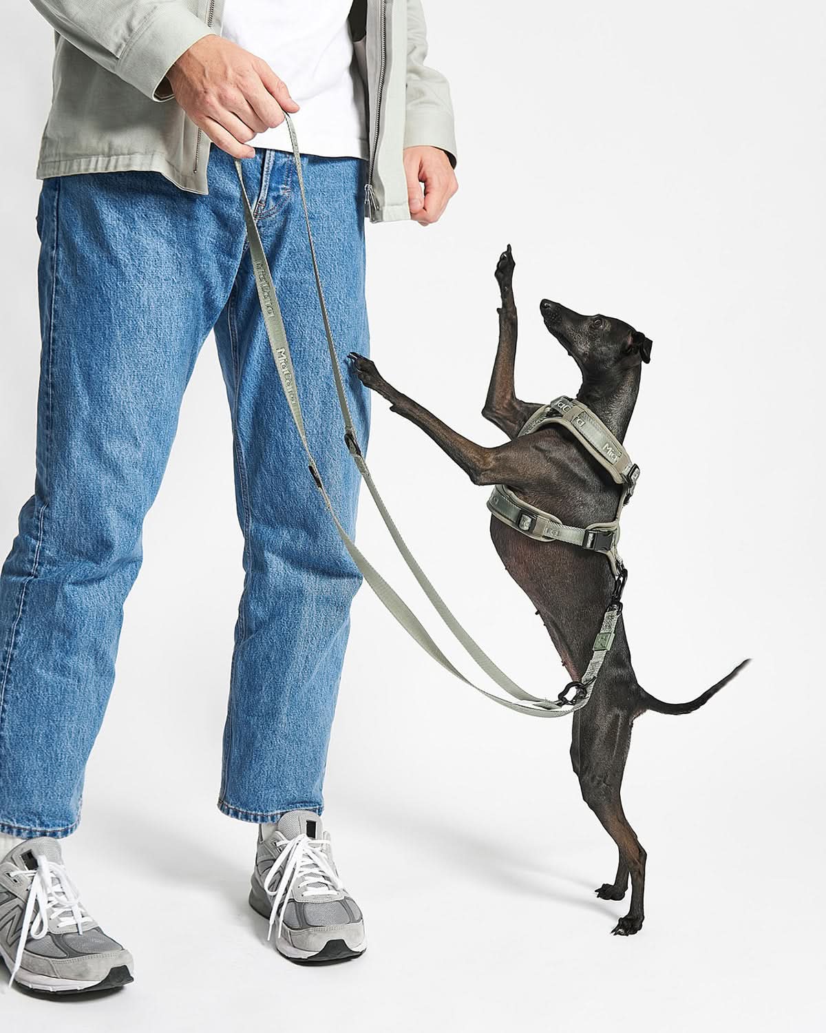 MODENA ADJUSTABLE LEASH | רצועה מתכווננת לכלב