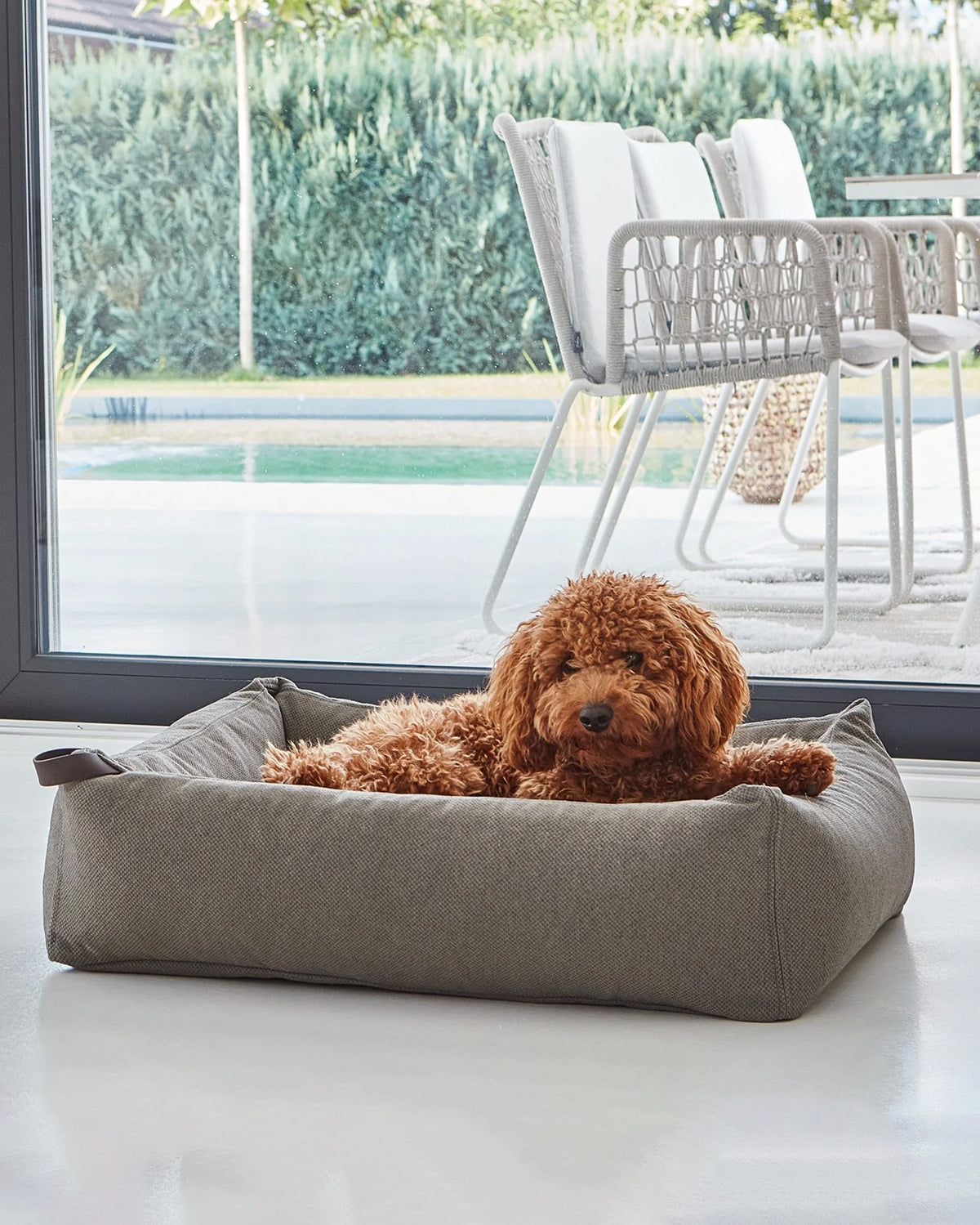 MARE DOG BOX BED | מיטה אורתופדית לכלב