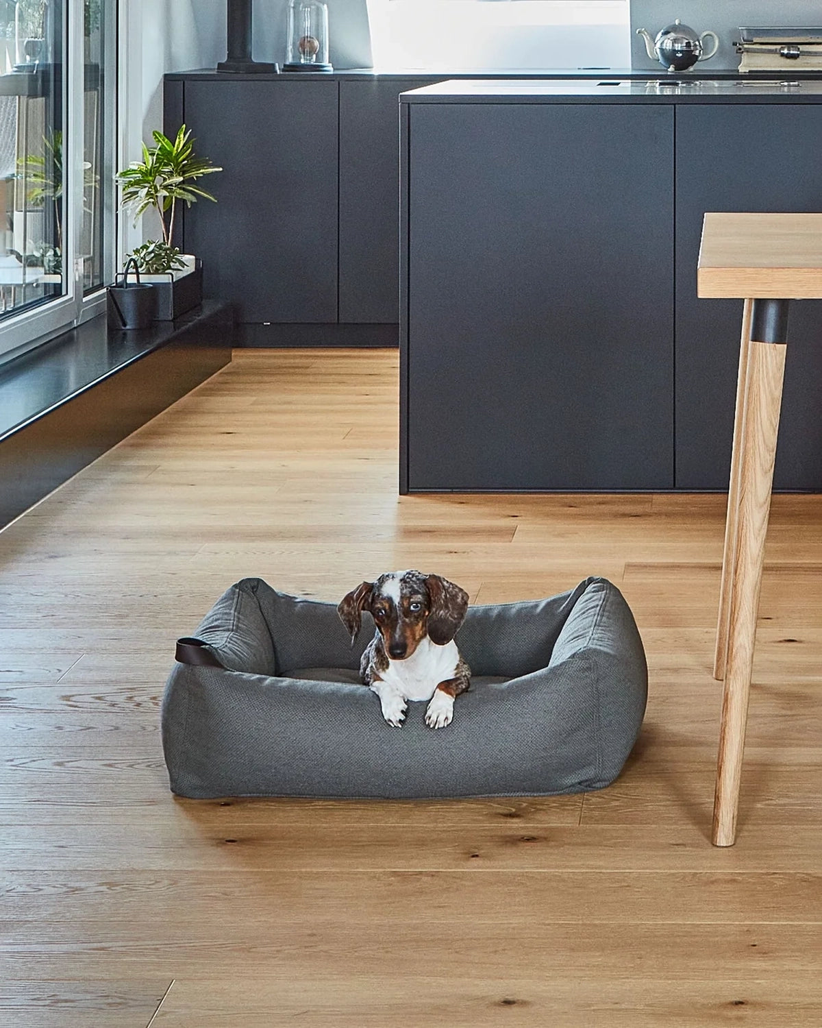 MARE DOG BOX BED | מיטה אורתופדית לכלב