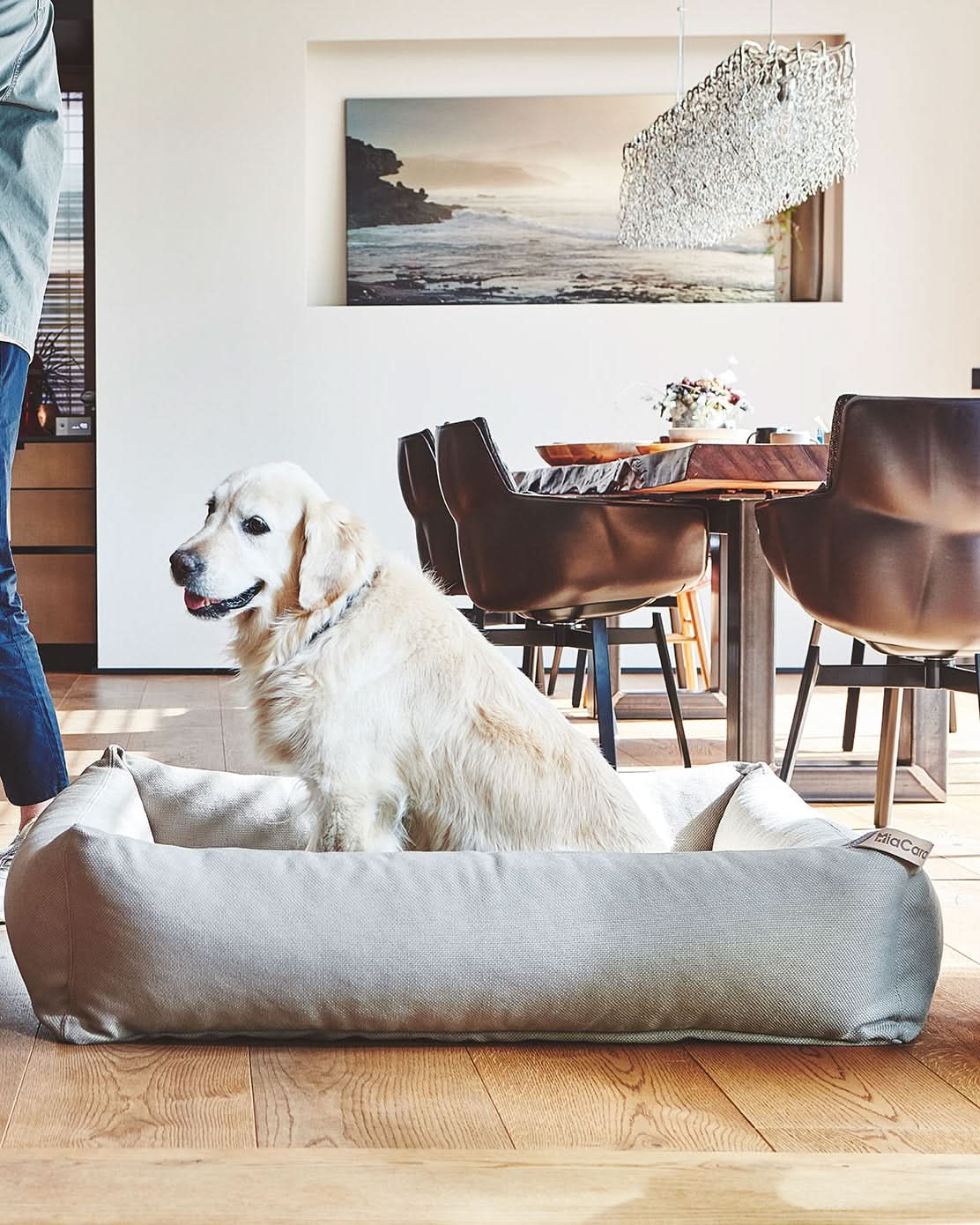 MARE DOG BOX BED | מיטה אורתופדית לכלב