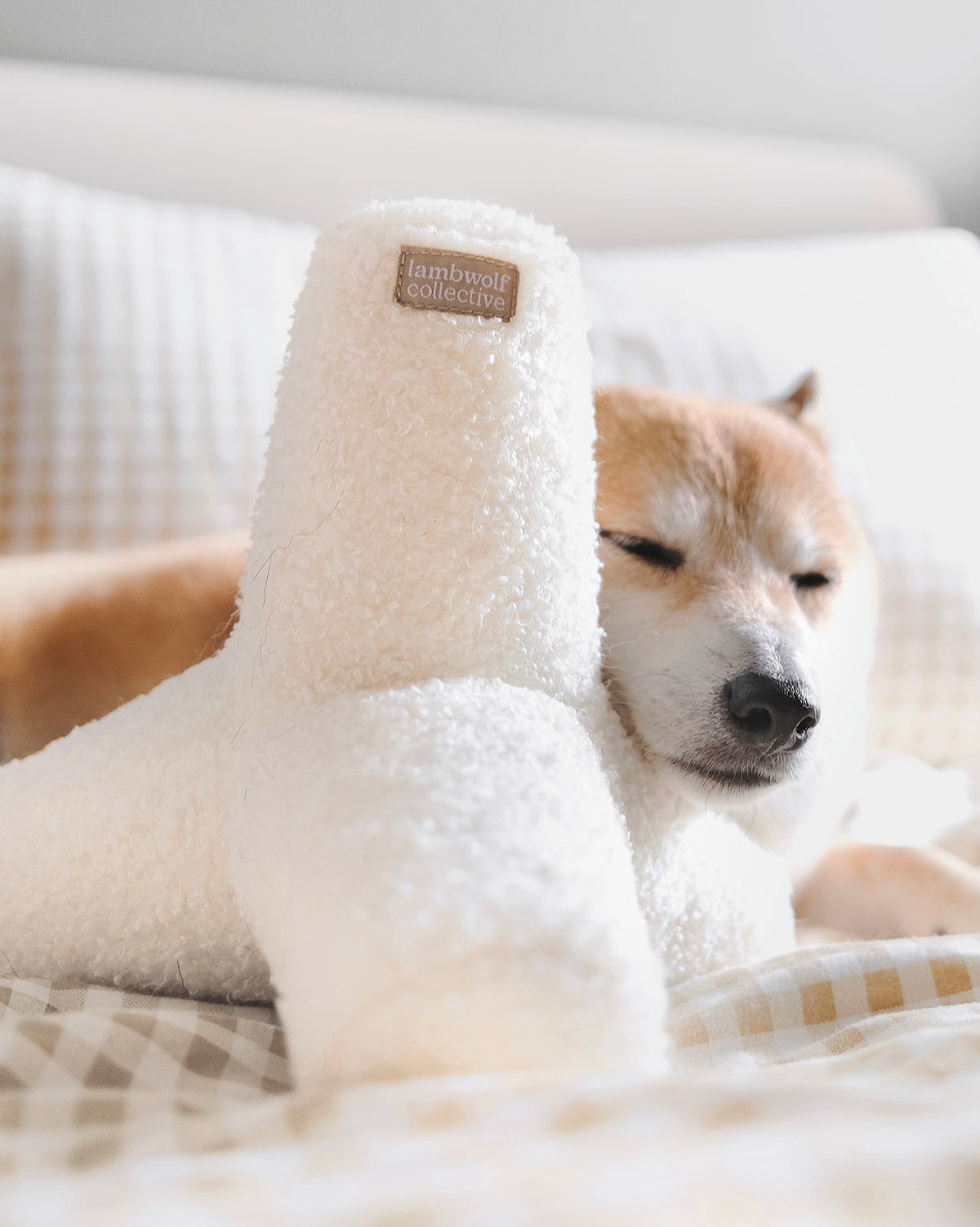 BREUER DOG TOY | צעצוע לכלב