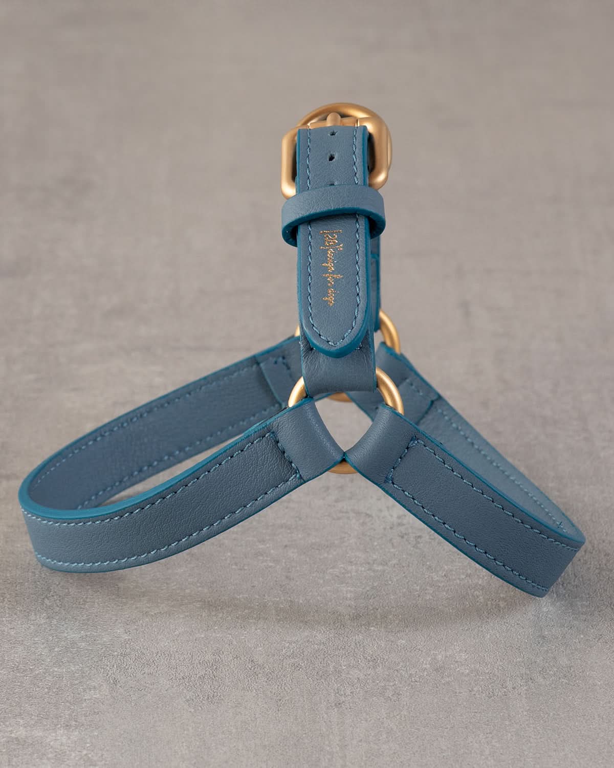 רתמה לכלב מעור נאפה איטלקי | MARIO NAPPA LEATHER DOG HARNESS