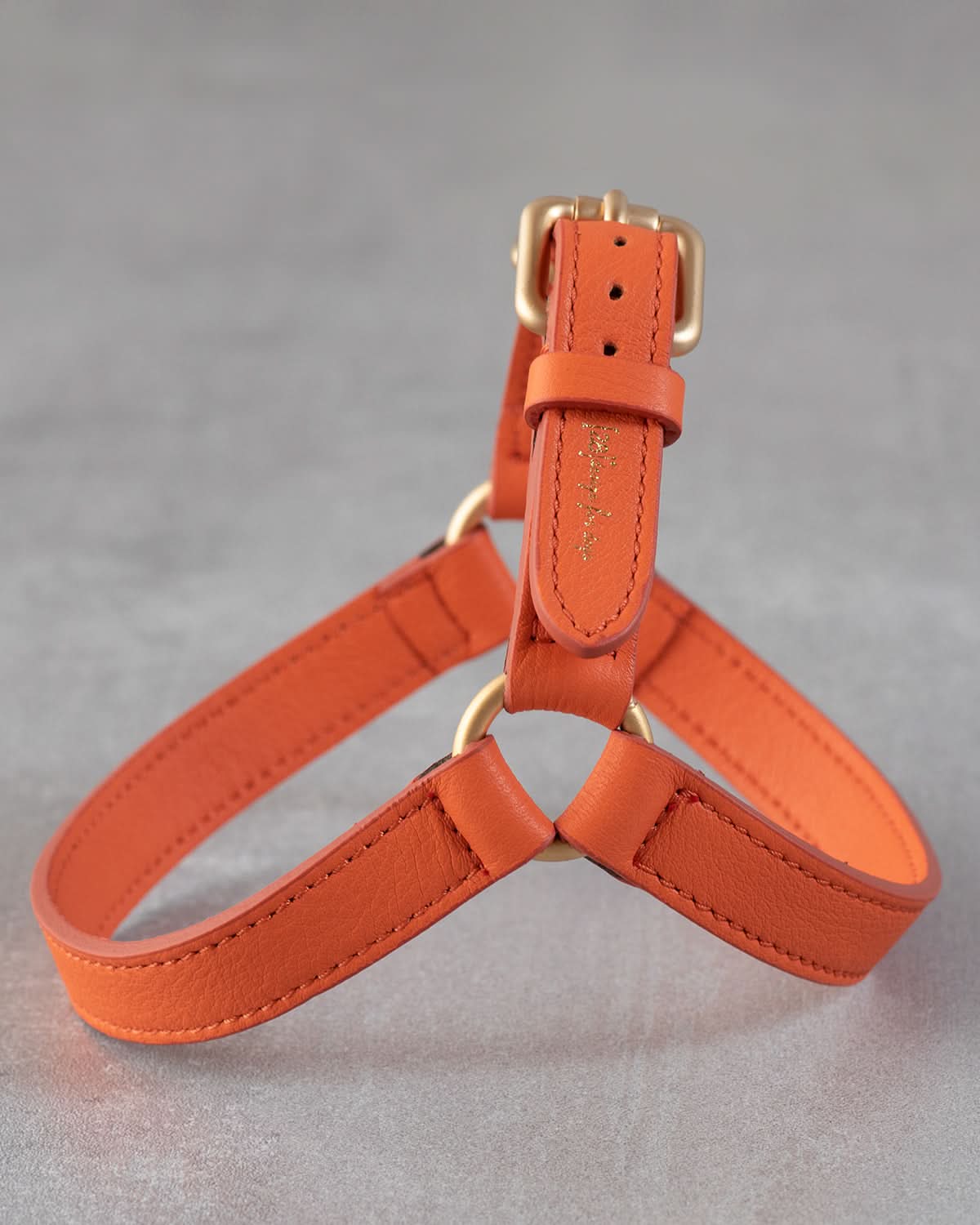 רתמה לכלב מעור נאפה איטלקי | MARIO NAPPA LEATHER DOG HARNESS