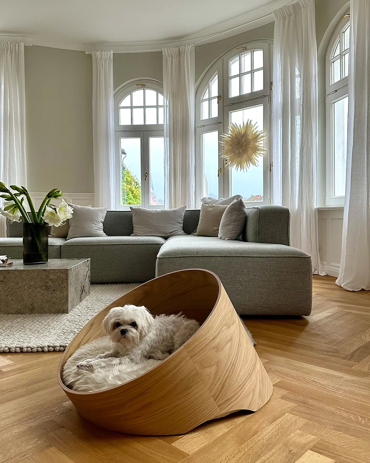 COVO DOG CAVE BED | מיטת עץ אורתופדית לכלב