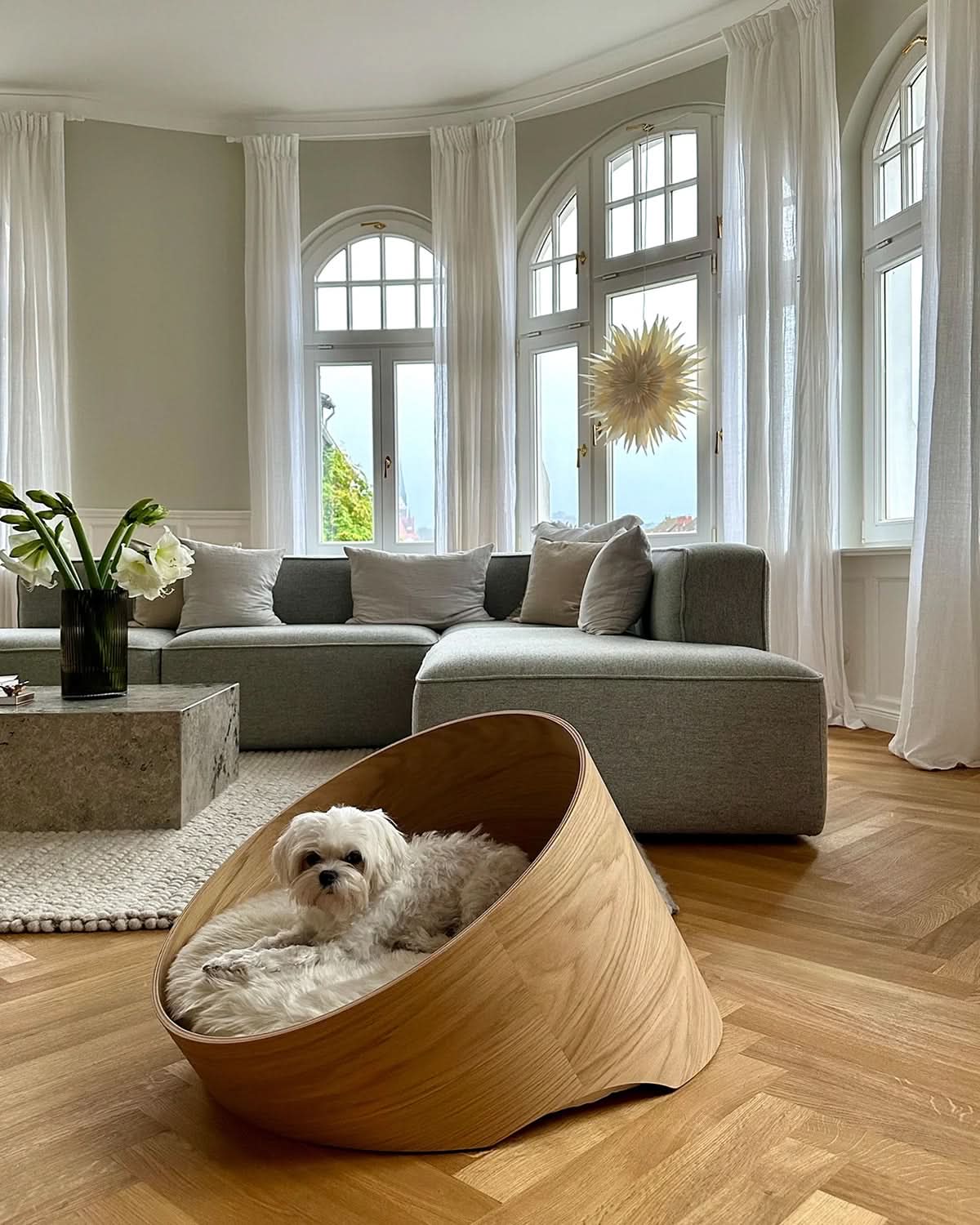 COVO DOG CAVE BED | מיטת עץ אורתופדית לכלב