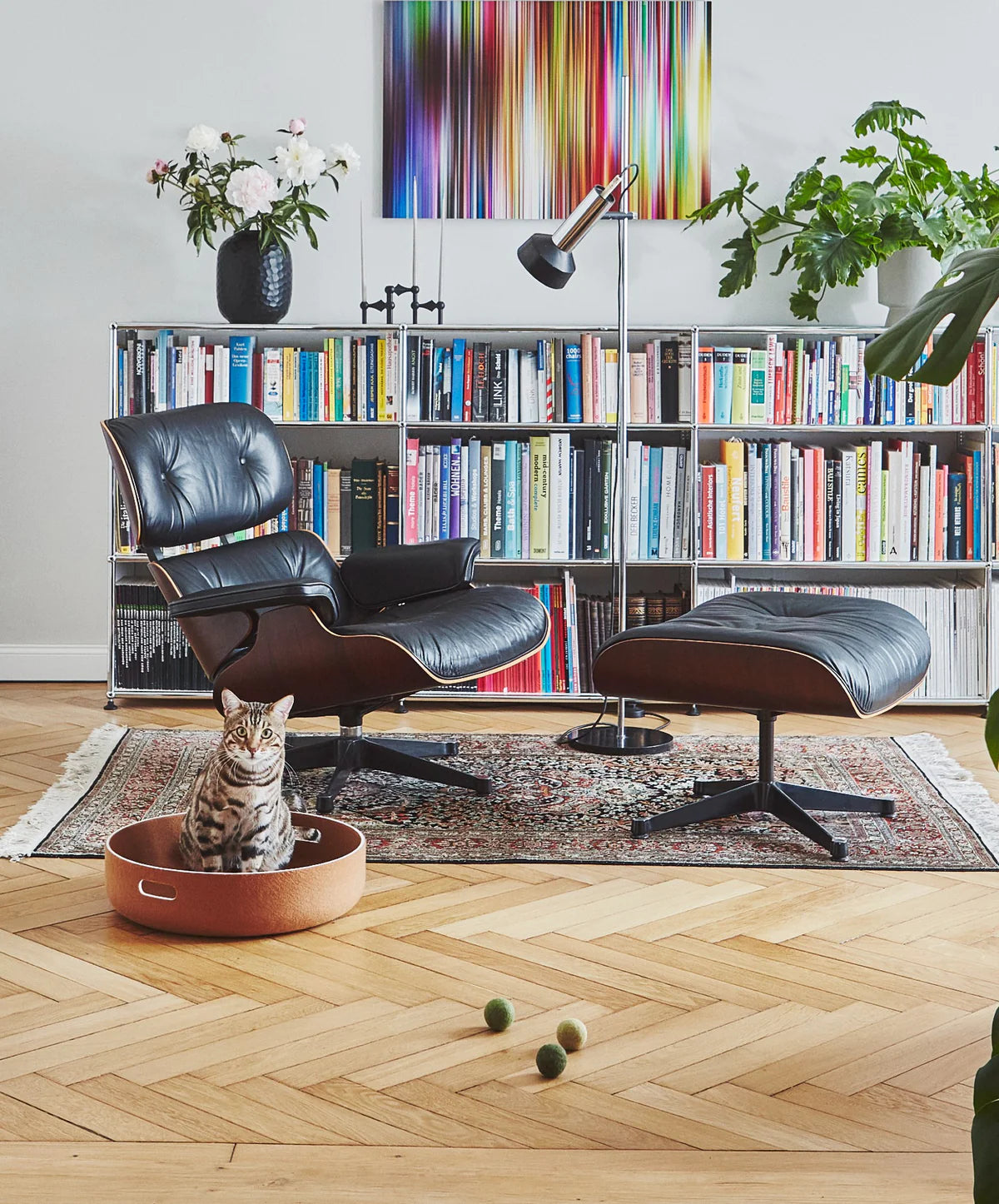 מיטות לחתולים