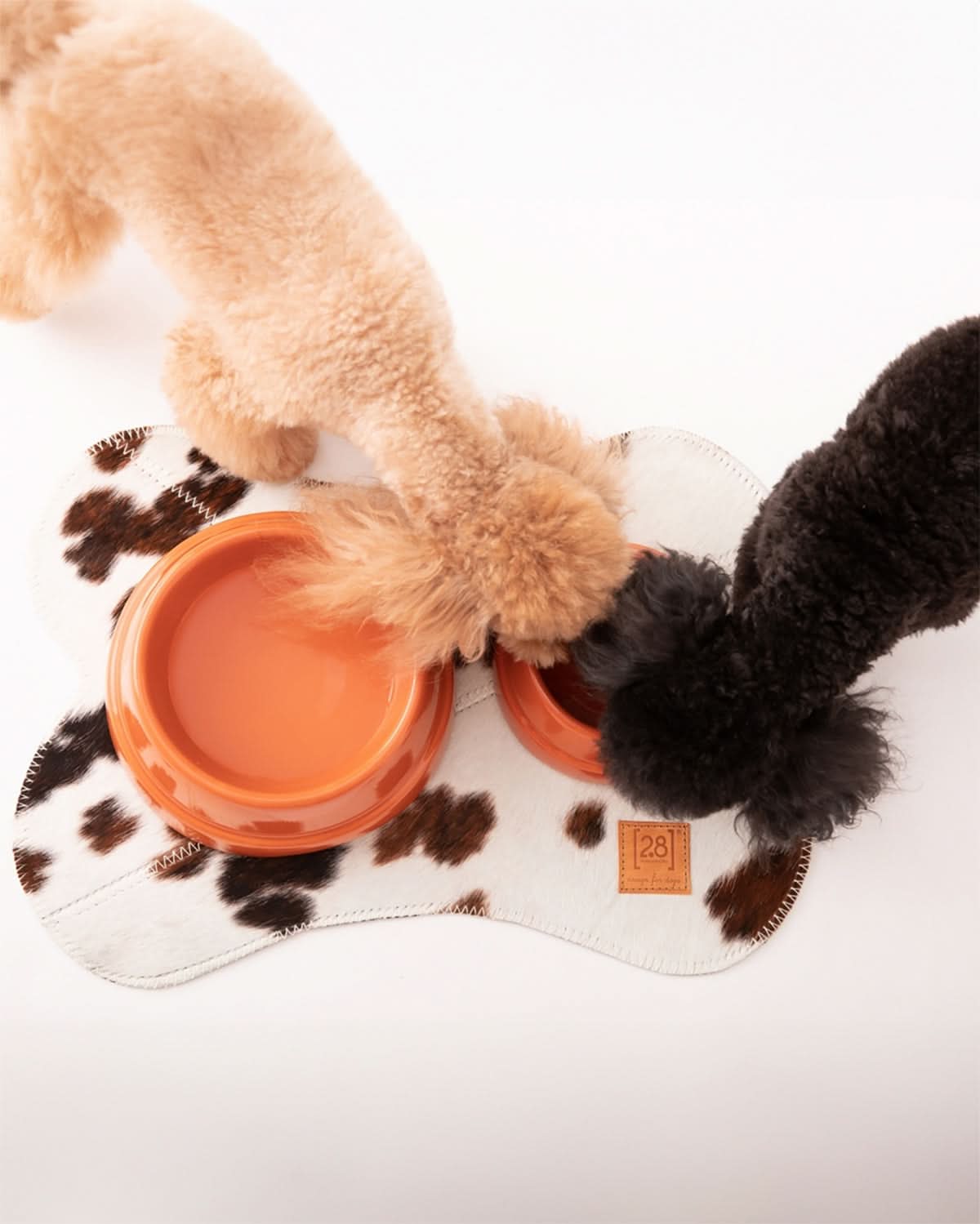 SEBASTIÃO DOG & CAT CERAMIC BOWLS | קערות קרמיקה לכלבים ולחתולים