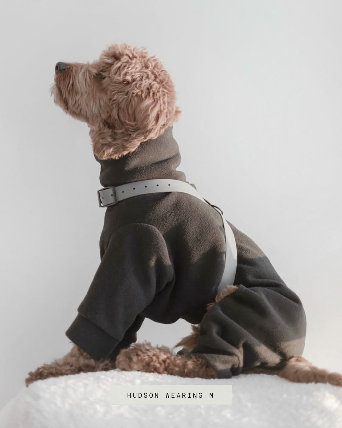 OTTO DOG HARNESS | רתמה לכלב