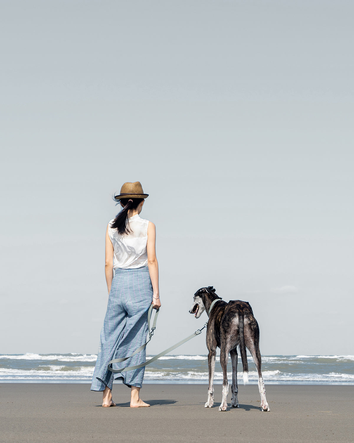 MELLEM X LEASH | רצועה לכלב