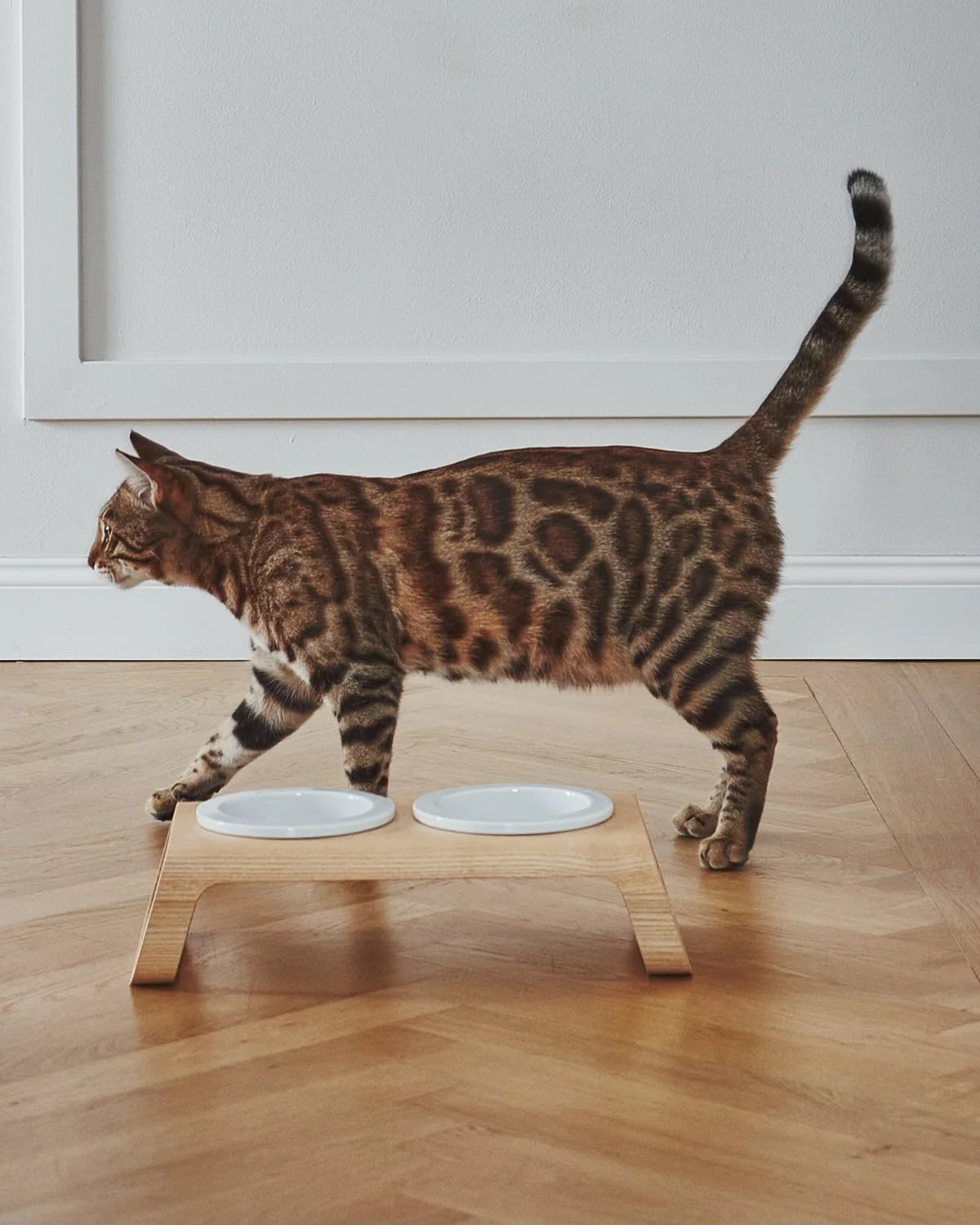 פורצלן דסקו עץ | מעמדות מוגבה לכלב