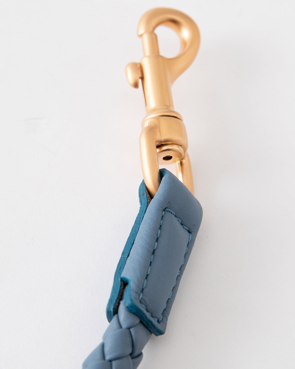 רצועת עור לכלב