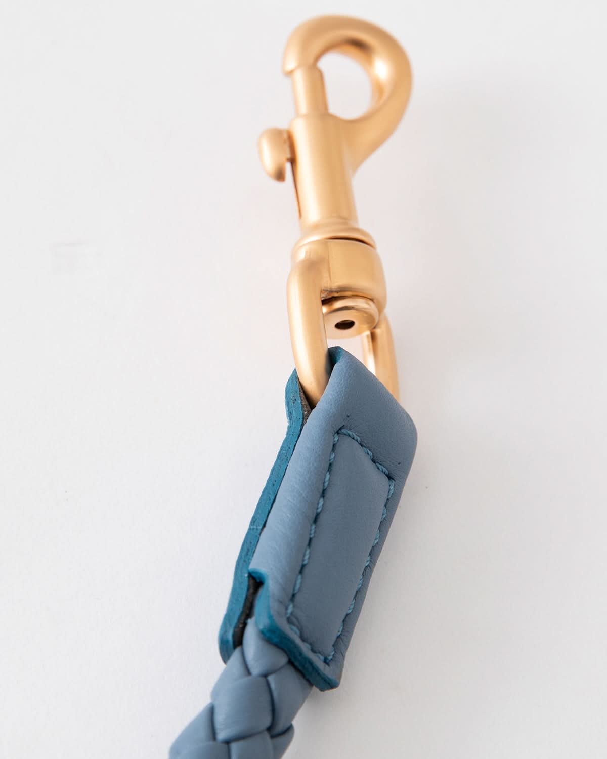 רצועת עור לכלב