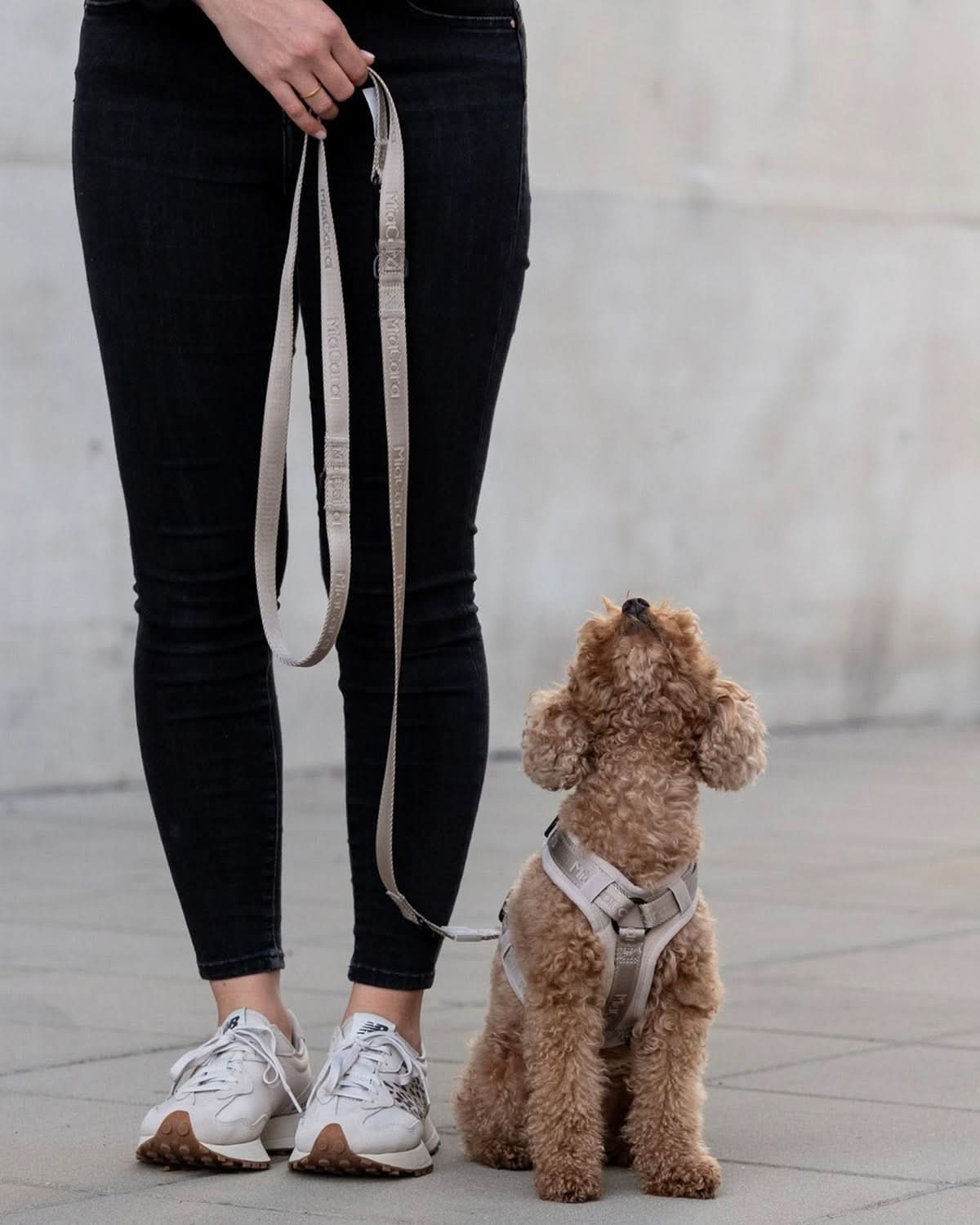 MODENA ADJUSTABLE LEASH | רצועה מתכווננת לכלב