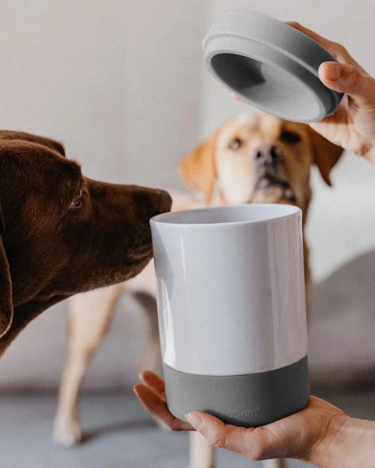 COPPA FOOD & TREAT JAR | צנצנת אחסון מזון וחטיפים לכלבים ולחתולים