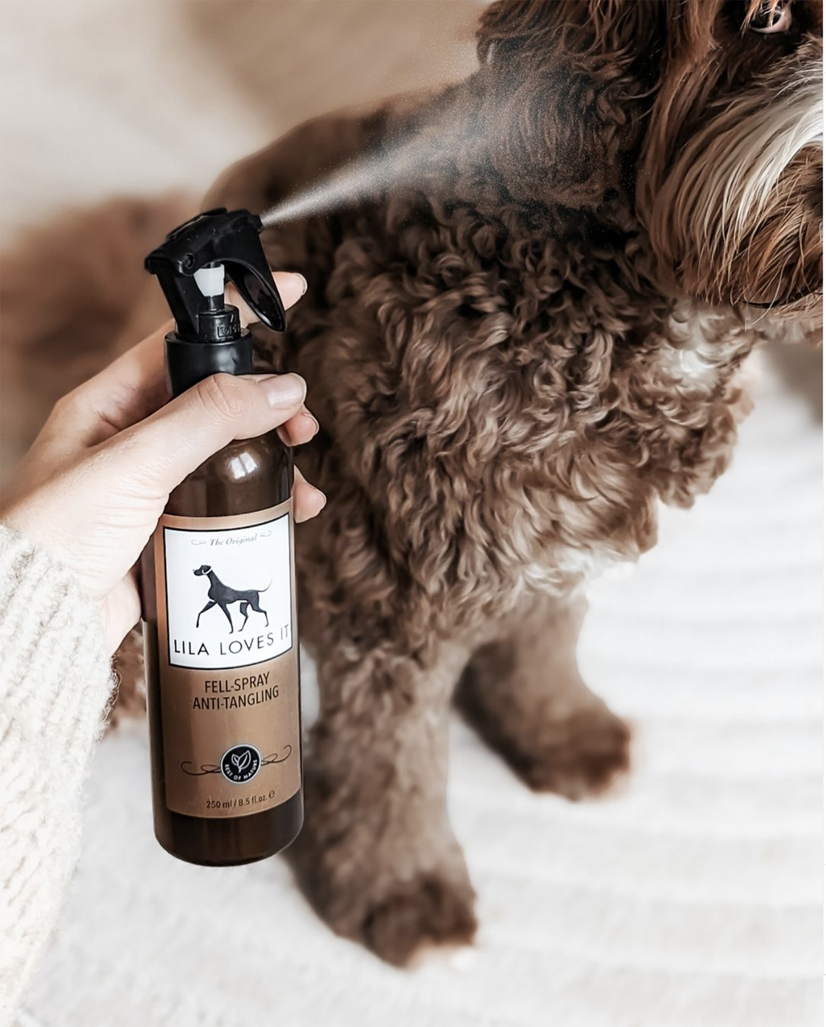 ספריי התרת קשרים