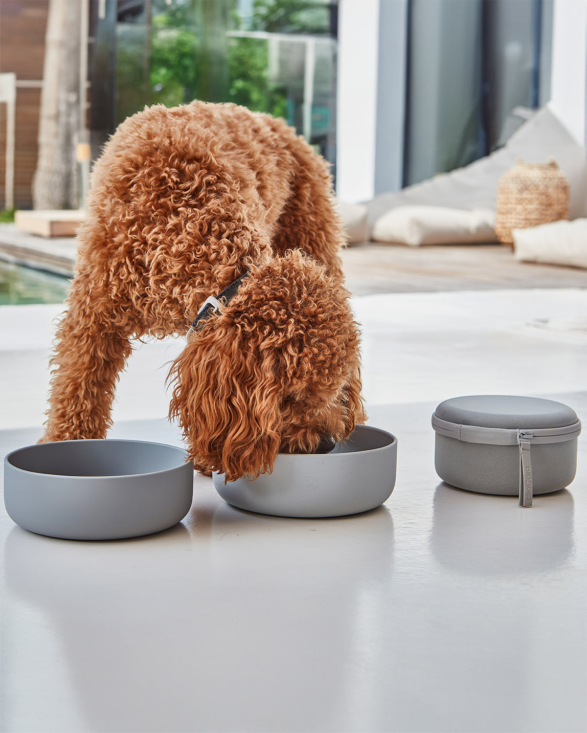 סט BENTO & BOTTIGLIA | סט קערות בנטו ובקבוק מים