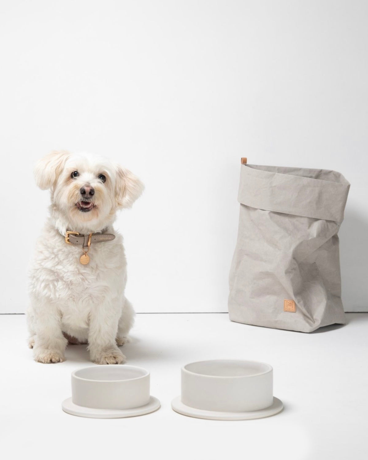 אחסון מזון לכלבים