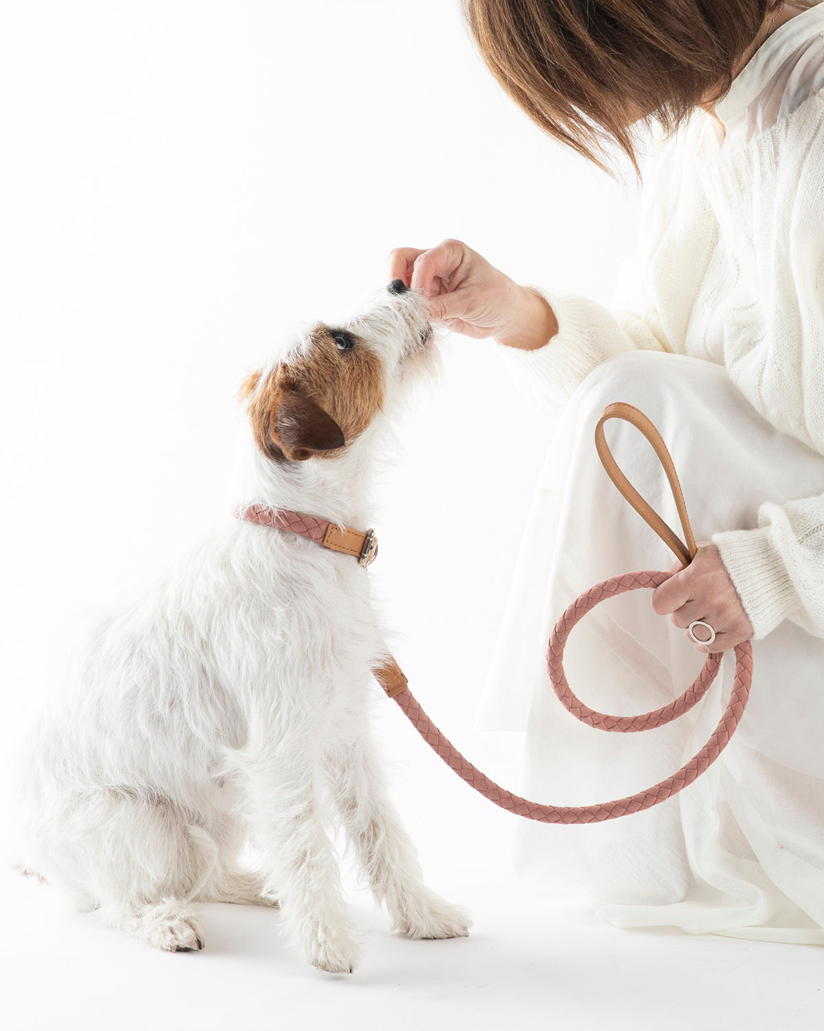 רצועת עור טבעוני לכלב