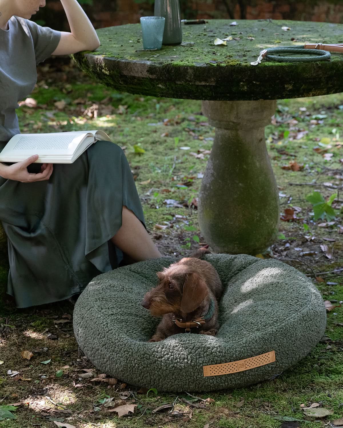מיטת פוף לכלב