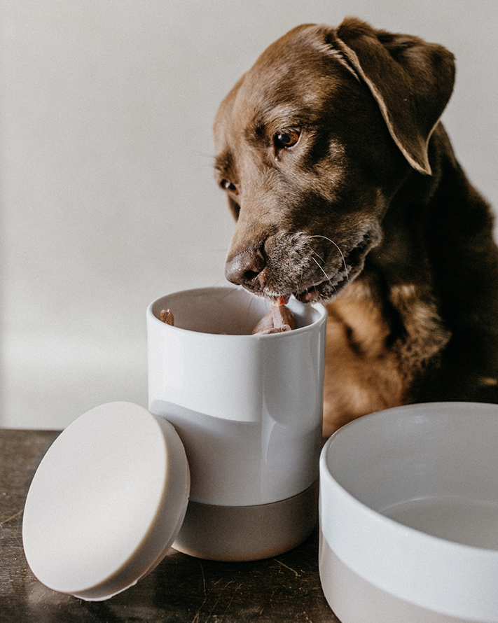COPPA DOG & CAT TREAT JAR | צנצנת טיפים לכלבים ולחתולים
