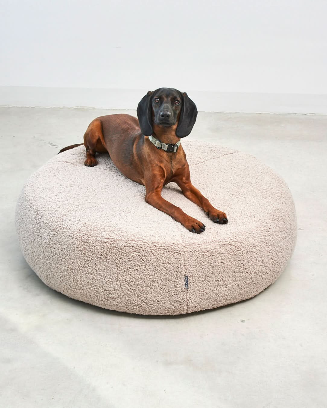 SENSO DOG ORTHOPEDIC POUFFE | מיטת פוף אורתופדית לכלב