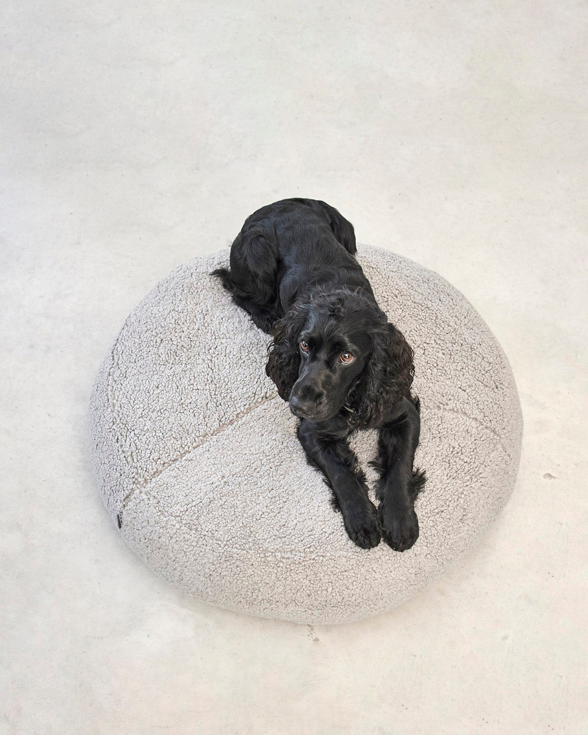 SENSO DOG ORTHOPEDIC POUFFE | מיטת פוף אורתופדית לכלב