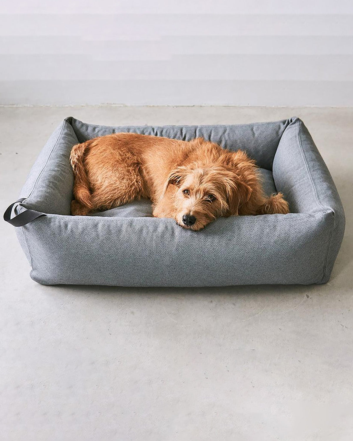 MARE DOG BOX BED | מיטה אורתופדית לכלב