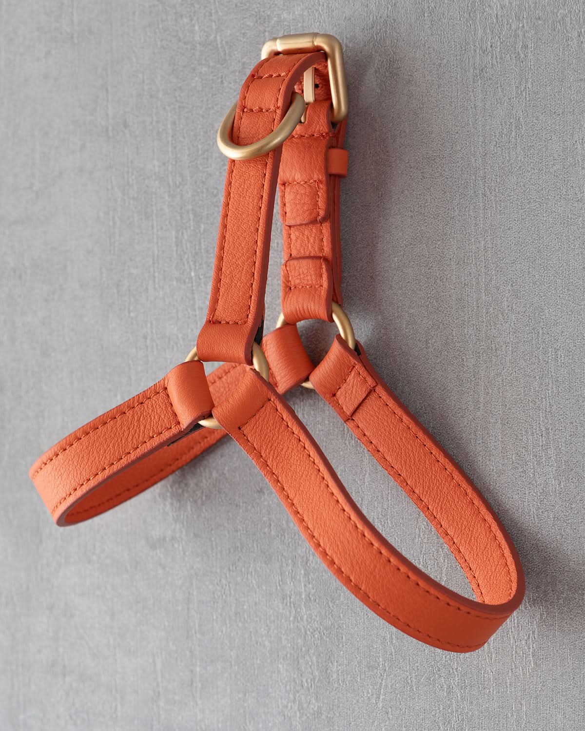 רתמה לכלב מעור נאפה איטלקי | MARIO NAPPA LEATHER DOG HARNESS