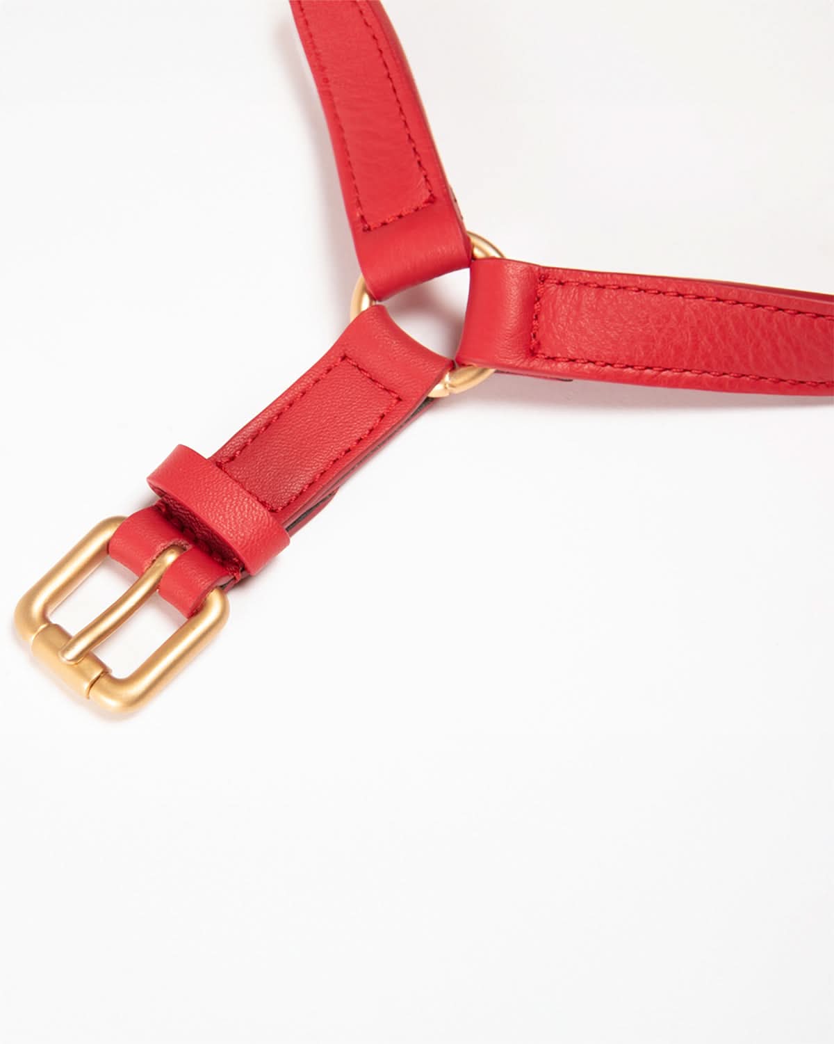 MARIO LEATHER HARNESS | רתמת עור לכלב