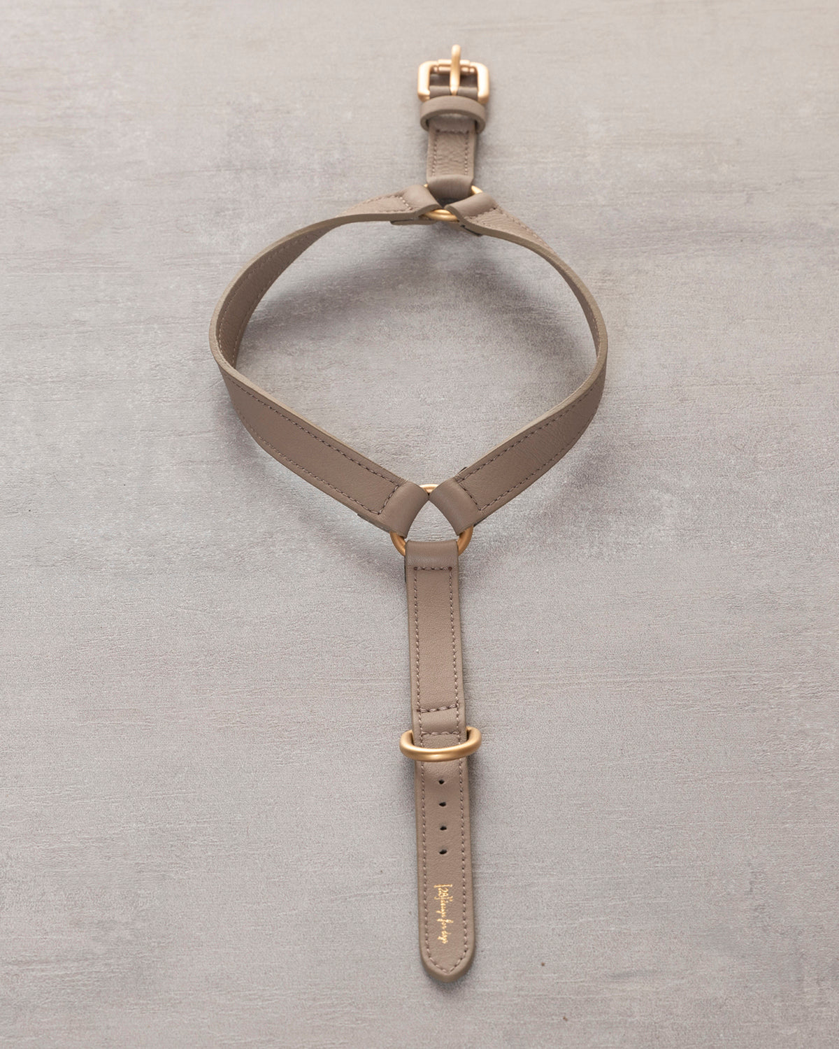 רתמת עור MARIO | רתמת עור לכלב