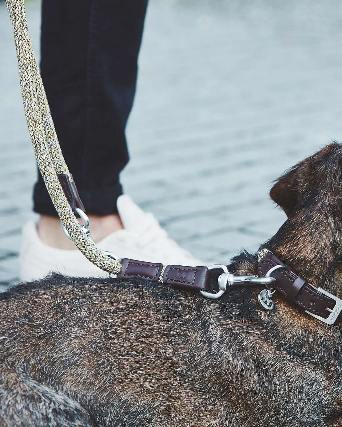 LUCCA ADJUSTABLE LEASH | רצועה מתכווננת לכלב